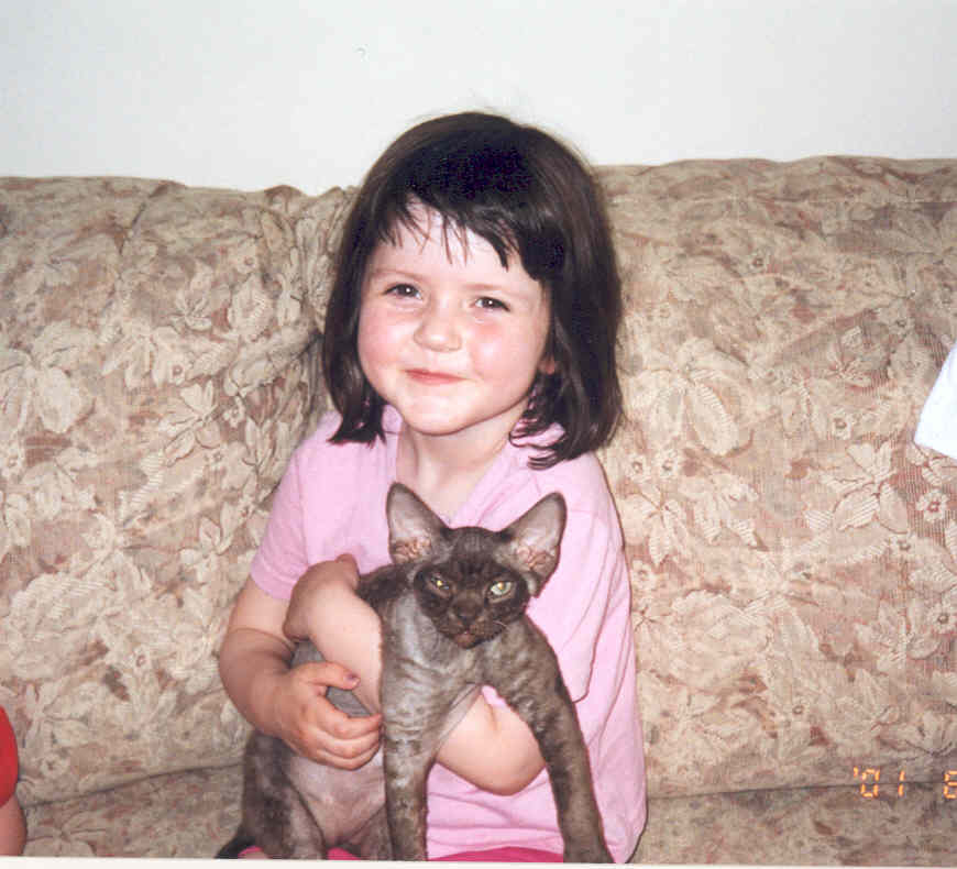 Capilano's Ripley of PrairieDawn, Devon Rex kitten, with Ashley
