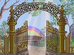 Click to Read the Rainbow Bridge Poem