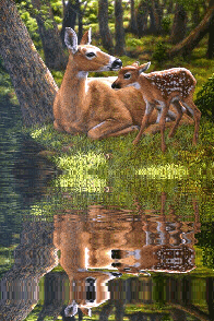deer