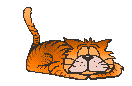 lazy cat gif