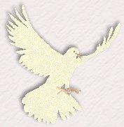 dove