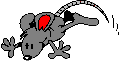 mouse gif