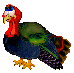 female turkey