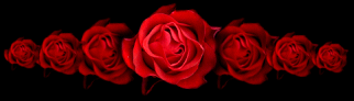 rosebar