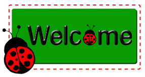 lady bug welcome
