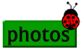 See Photos