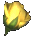yellow rose button