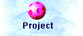Project
