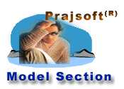 Model Section