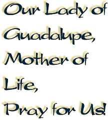 Our Lady of Guadalupe, Mother of Life, Pray for Us!