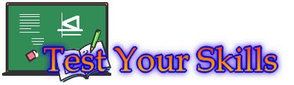 Test Your Skills