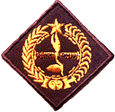 Indonesia Scout Movement