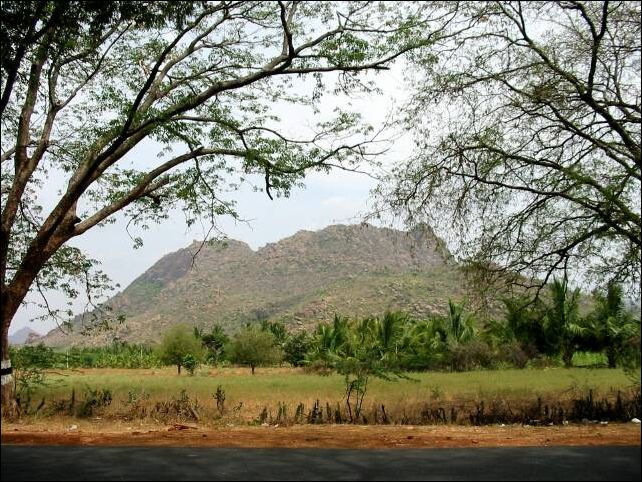 kochi0001