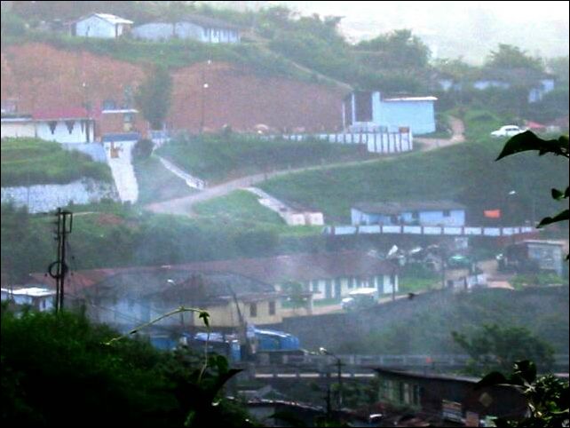 kochi0004