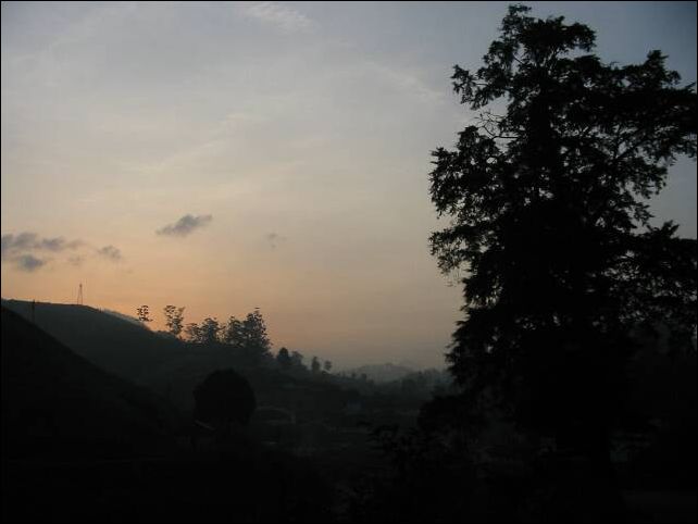kochi0006