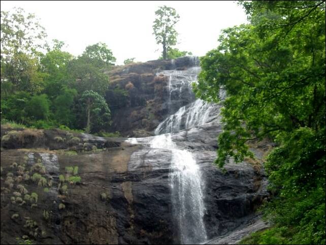 kochi0014