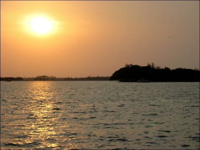 kochi0019