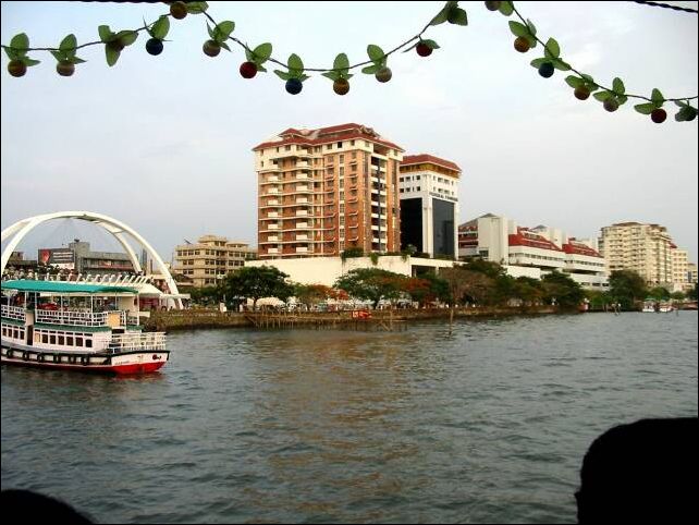 kochi0020
