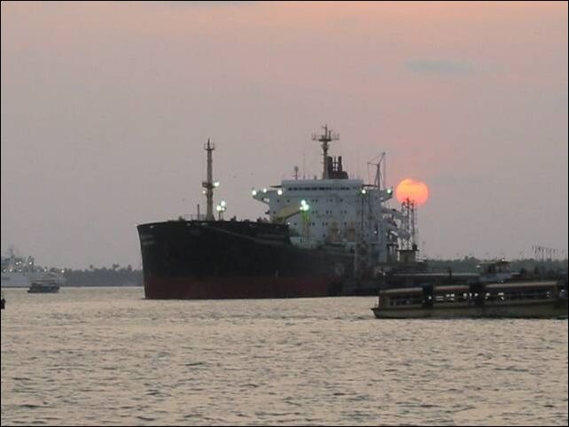 kochi0022