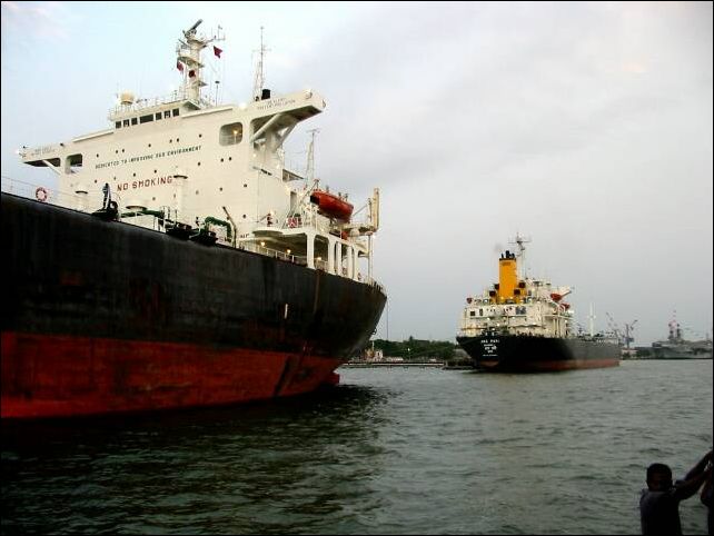 kochi0023