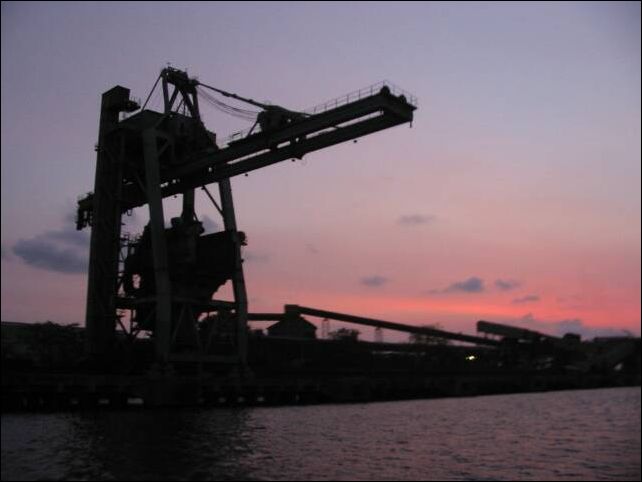 kochi0024