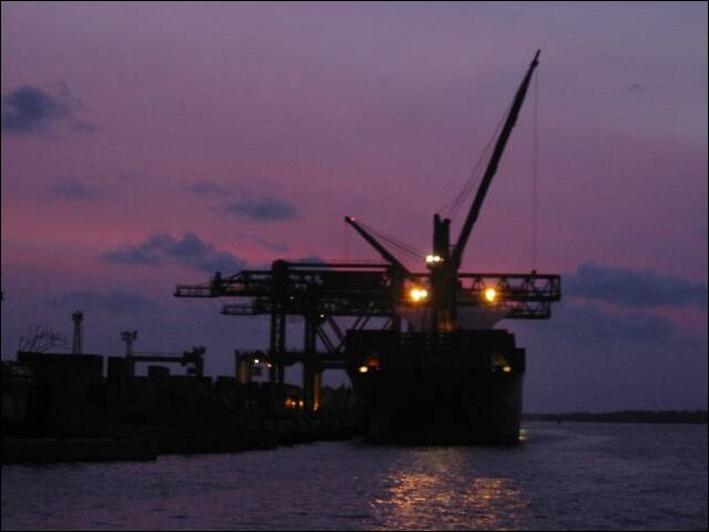 kochi0025