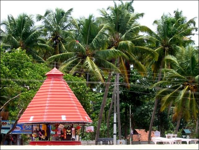 kochi0026