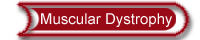 Musculardystrophy