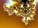 [flower-shaped fractal]
