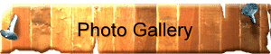 Photo Gallery