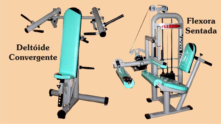 Consultar