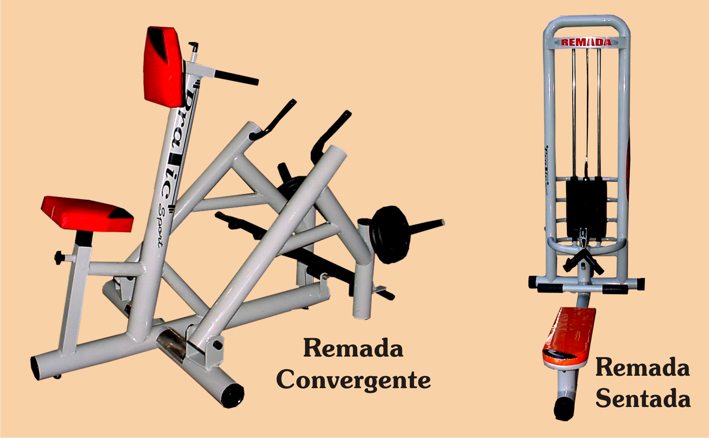 Consultar