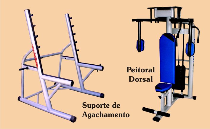 Consultar