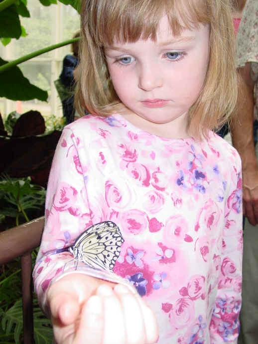 butterflygirl032903.jpg (465360 bytes)