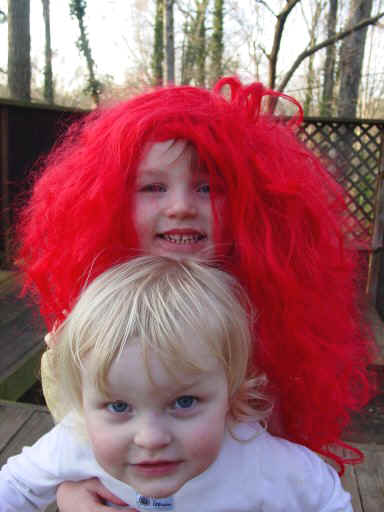 wig032403.jpg (44134 bytes)