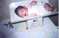 newborn50.jpg (6669 bytes)