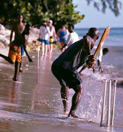cricket