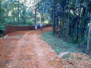 The Road  that we  broadened