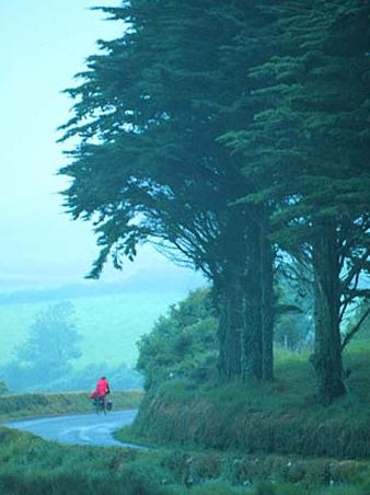 County Cork