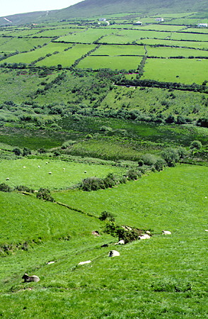 County Kerry