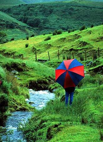 The green, green hills