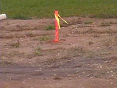 Stakes