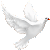 Dove