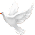 Dove