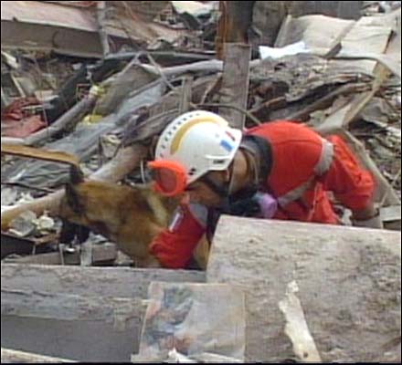 Search dogs, Sept. 19, 2001