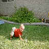 daycareplaying7.JPG (118660 bytes)