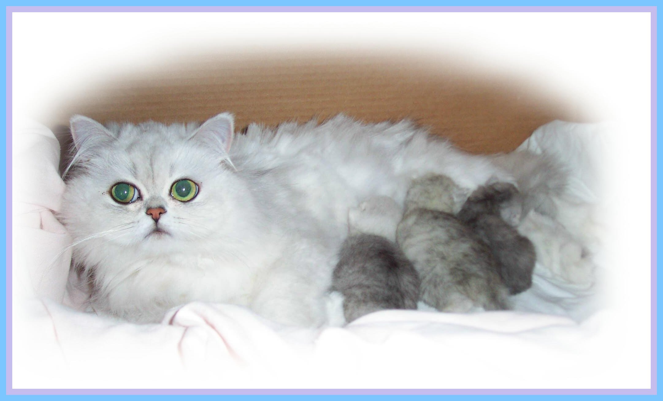 Sundae with Newborns