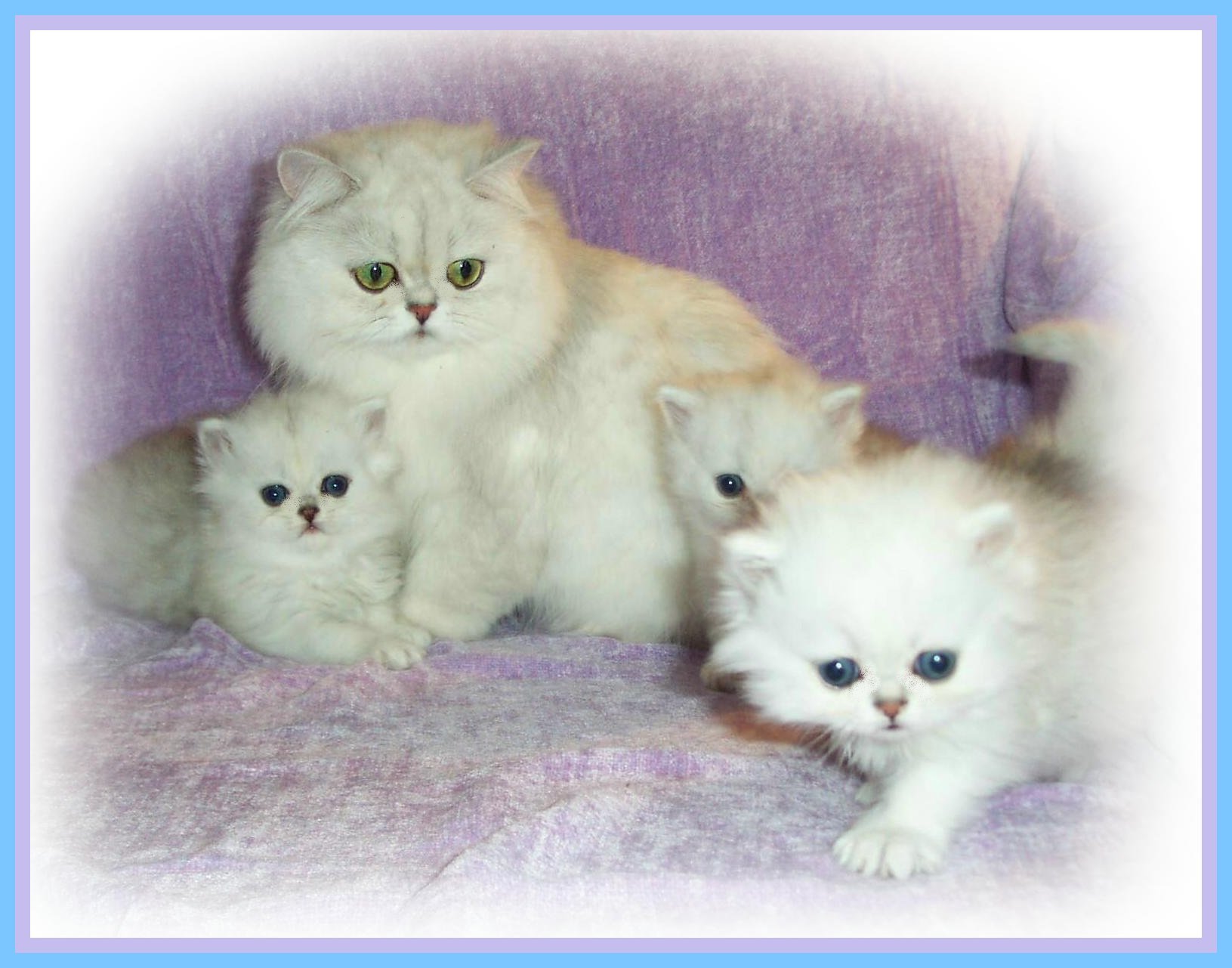 Sundae & Babes 1 month