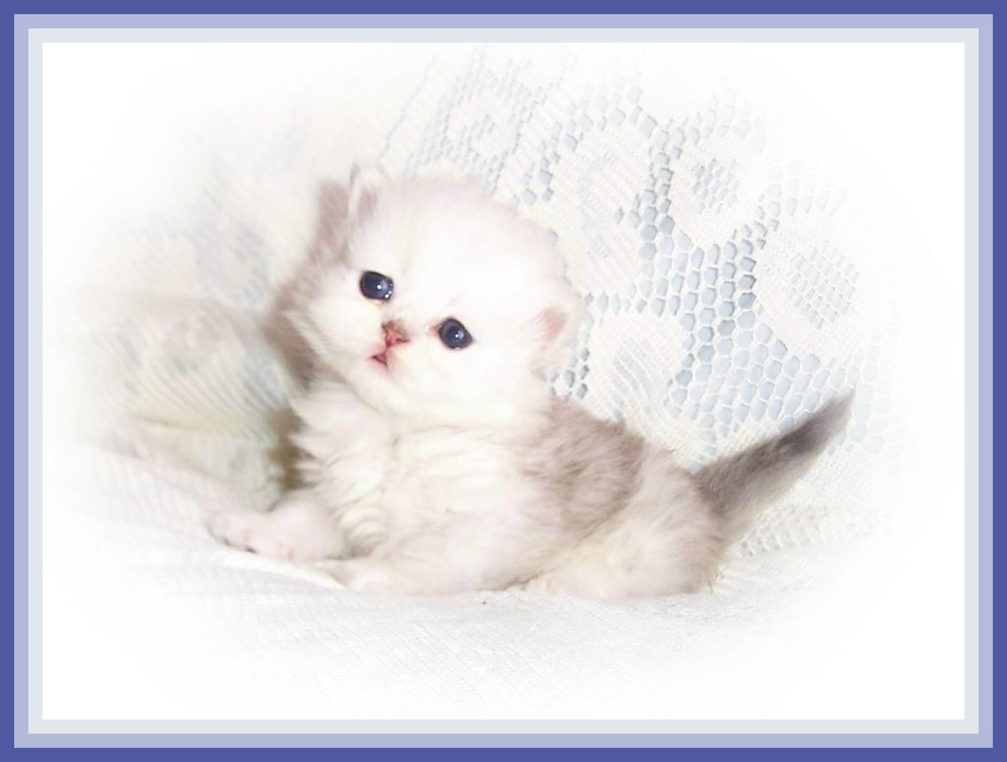 Boy 1-2 wks
