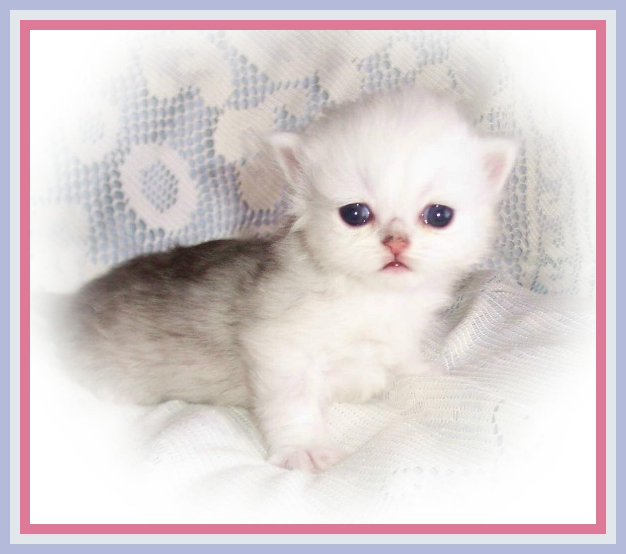 Baby Girl- 2wks